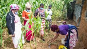 Group of women planting in a community garden during COVID-19 pandemic.