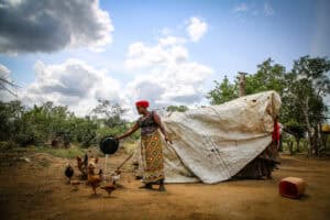 Person emptying a pot of water for chickens beside a tarp in an open field beneath a blue sky.