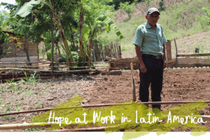 A farmer standing beside a freshly prepared garden plot with wooden fencing and banana trees on a rural hillside.