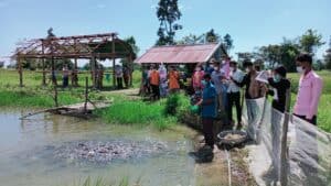 People standing beside fish ponds at a rural farm, observing fish farming activities near simple wooden structures.
