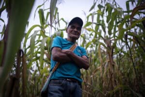 Older farmer standing with arms crossed in a cornfield, wearing a blue shirt and cap.