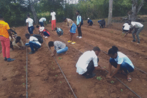 A group of students bend over garden rows, planting seedlings in tilled soil outdoors with trees in the background.