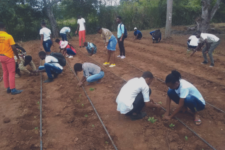 A group of students bend over garden rows, planting seedlings in tilled soil outdoors with trees in the background.