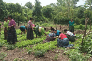 Women and children working together in a community garden for sustainable farming.