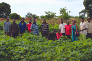 Group of farmers in a lush green field with trees in the background.