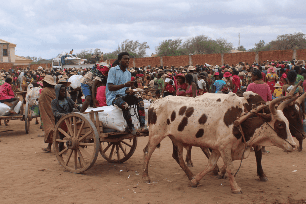People gather at a busy market with a donkey cart in Madagascar.