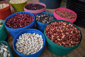 Colorful buckets filled with different types of beans for food aid programs.