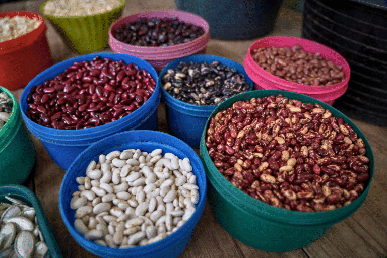 Colorful buckets filled with different types of beans for food aid programs.