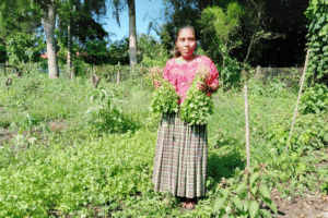 Young girl holding fresh herbs in a lush garden setting.