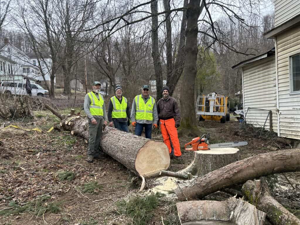 Team assessing fallen tree damage after Hurricane Helene impact.