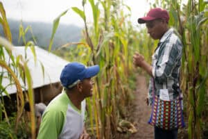 Farmer and community member discussing crop growth in a cornfield.