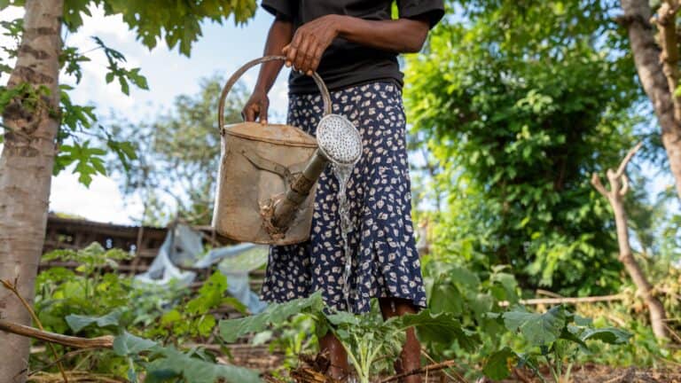 Woman watering plants in a lush kitchen garden with a watering can.