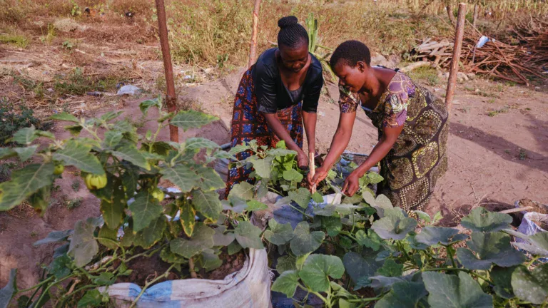 Community members tend vegetables in a kitchen garden in Tanzania after receiving agricultural training.